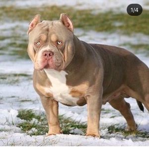 Meet your Posher, Aj